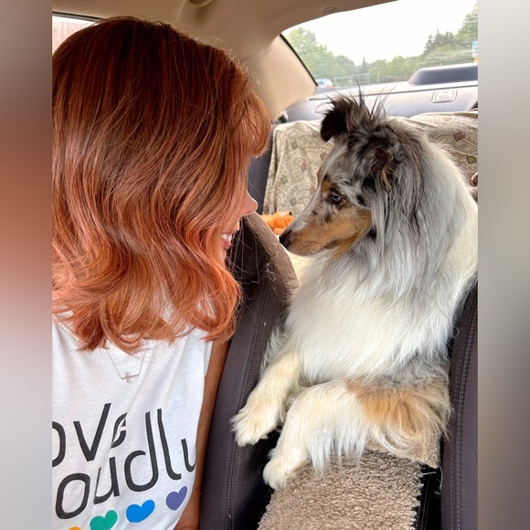 Meet your Posher, Minxy - Picture 5 of 6